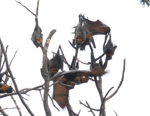 School Incursions Melbourne - Education QLD 0