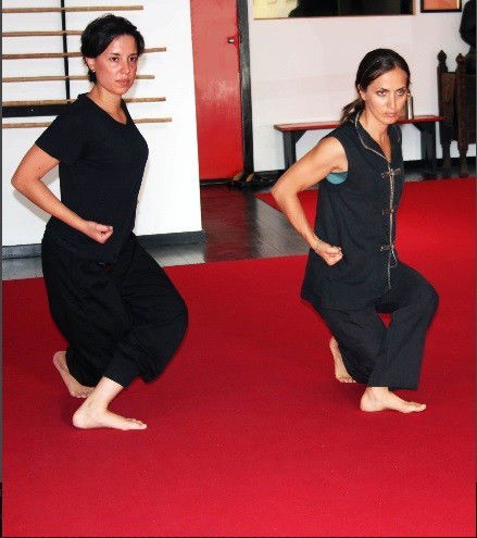 Wu-shu Academy - Education QLD 9