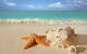 KaHuna Bodyworks School Of Massage & Energy Healing - thumb 1