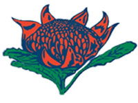 Hurstville South Public School - Education QLD 0