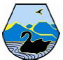 Moruya Public School - Education QLD