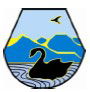 Moruya Public School - Education QLD 0