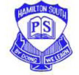 Hamilton South Public School - Education QLD
