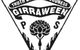Girraween Public School - thumb 0
