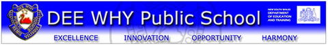 Dee Why Public School - Education QLD 0