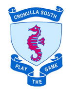 Cronulla NSW Schools and Learning Education Brisbane Education Brisbane
