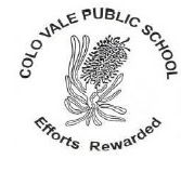 Colo Vale Public School - Education QLD