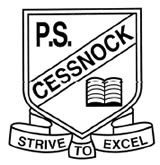 Cessnock Public School - Education Gold Coast 0