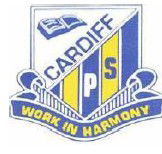 Cardiff Public School - Education QLD