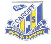 Cardiff Public School - Education QLD 0