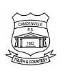 Camdenville Public School - Education QLD 0