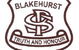 Blakehurst Public School - thumb 0
