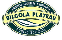 Bilgola Plateau Public School - Education QLD 0