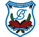 Banks Public School