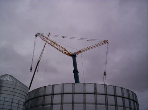 Forward Assessing - Education QLD 2