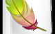 Tutoring Specialist Services - thumb 0