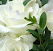 WeddingMakeups.com - Education QLD