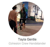 Cohesion Gym