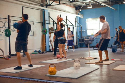 Cohesion Gym - Education QLD 2