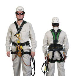 Saferight - Education QLD 0