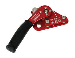 Saferight - Education QLD 5