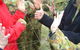 Corporate Commandos Pty Ltd - thumb 2