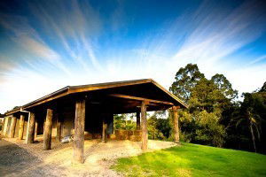 Australian College Of Eastern Medicine - Education QLD 4