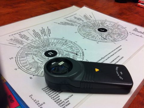 Sharon Lindner - Education QLD 0