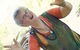 Laughter For Living - thumb 2