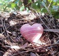 Adelaide Mindfulness - Education Brisbane