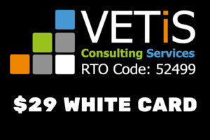 VETiS Consulting Services - Education QLD 0