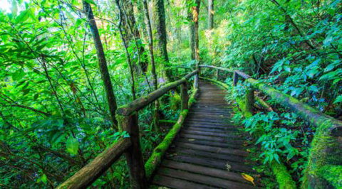 The Still Mind - Education QLD 1