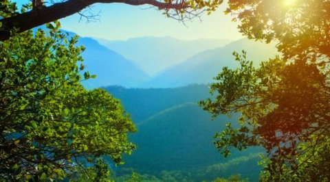 The Still Mind - Education QLD 2