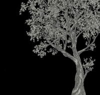 Chariklo School of Archetypal Astrology - Education QLD