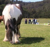Unbridled Results - Education Brisbane