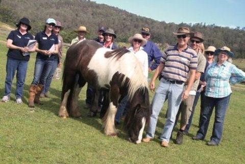Unbridled Results - Education QLD 2