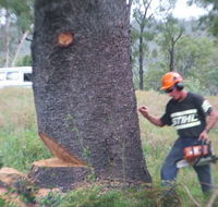 Steve Smith Chainsaw Training - Education QLD