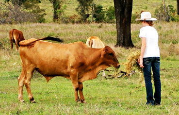 Alkoomi Outback Skills Farm - Education QLD 2