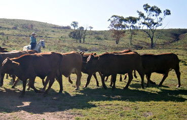 Alkoomi Outback Skills Farm - Education QLD 3