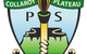 Collaroy Plateau Public School - thumb 0