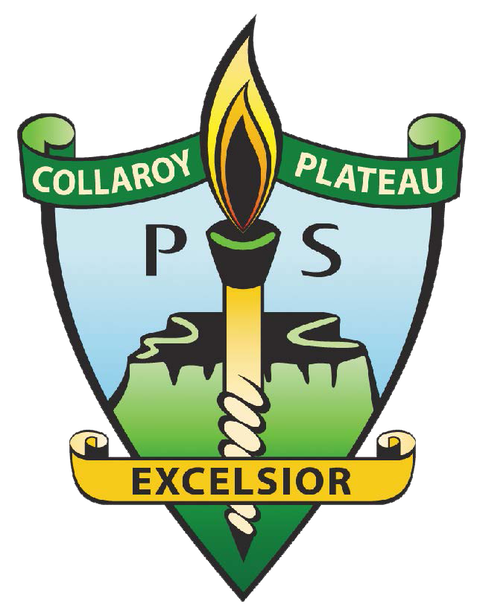 Collaroy Plateau Public School - Education QLD 0