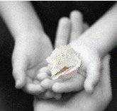 Castlecrag Montessori School - Education QLD