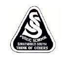 Strathfield South Public School - Education Gold Coast