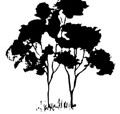 Samuel Gilbert Public School  - Education QLD