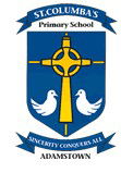 St Columba's Primary School Adamstown
