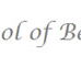 Advanced School of Beauty Therapy  - Education QLD