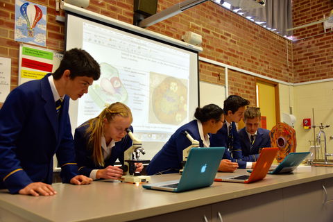 Gilroy Catholic College - Education QLD 7