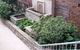 St Charles Primary School - thumb 7