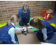 All Hallows Catholic Primary School - Education QLD 1