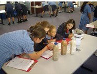 All Hallows Catholic Primary School - Education QLD 3